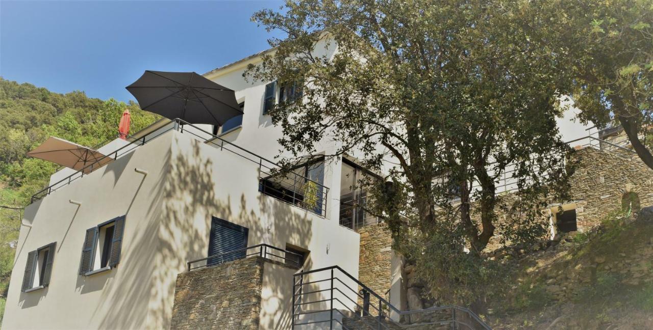 A Casa Di Campa Villa Oletta  Ngoại thất bức ảnh